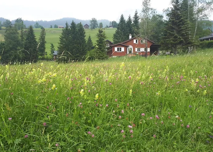 Chic Mit Hot Pot Wildhaus