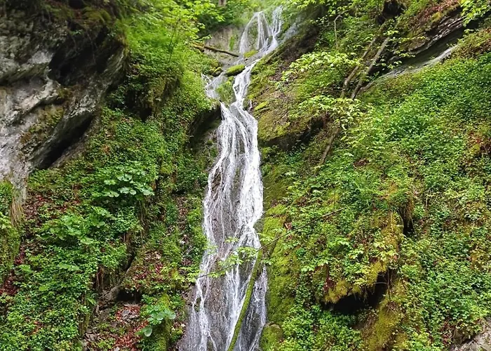 Chic Mit Hot Pot בית נופש